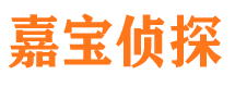 安国侦探公司